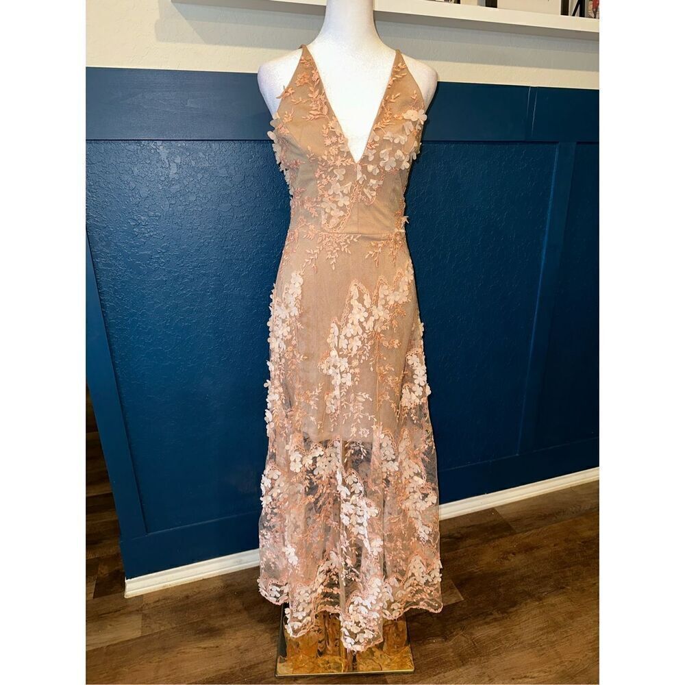 Dress the Population Floral Embroidered Maxi Dress in Blush - Picture 2 of 11